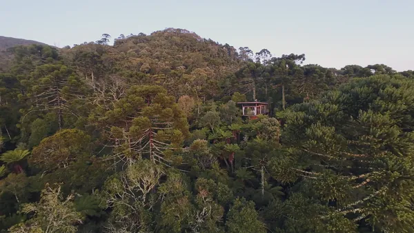 Cabana Cristal entre araucárias ao amanhecer, em Urubici