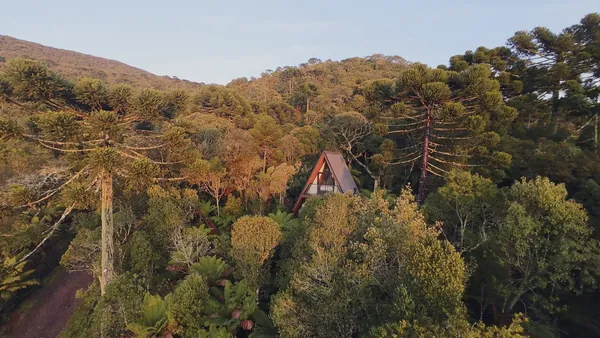 Cabana dos Pumas, em A, entre araucárias ao amanhecer