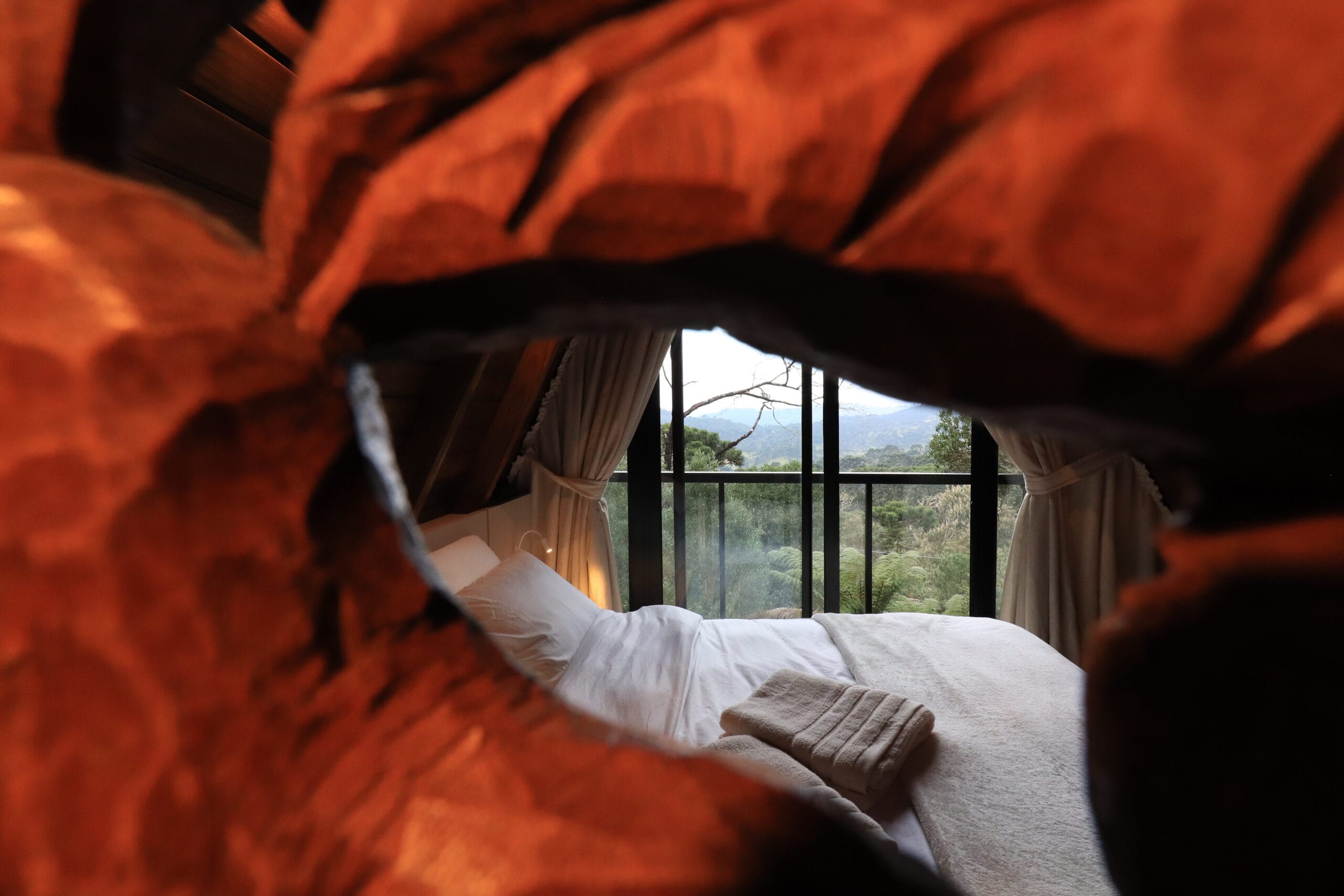 IMG_4761 - Serenus Forest Glass House