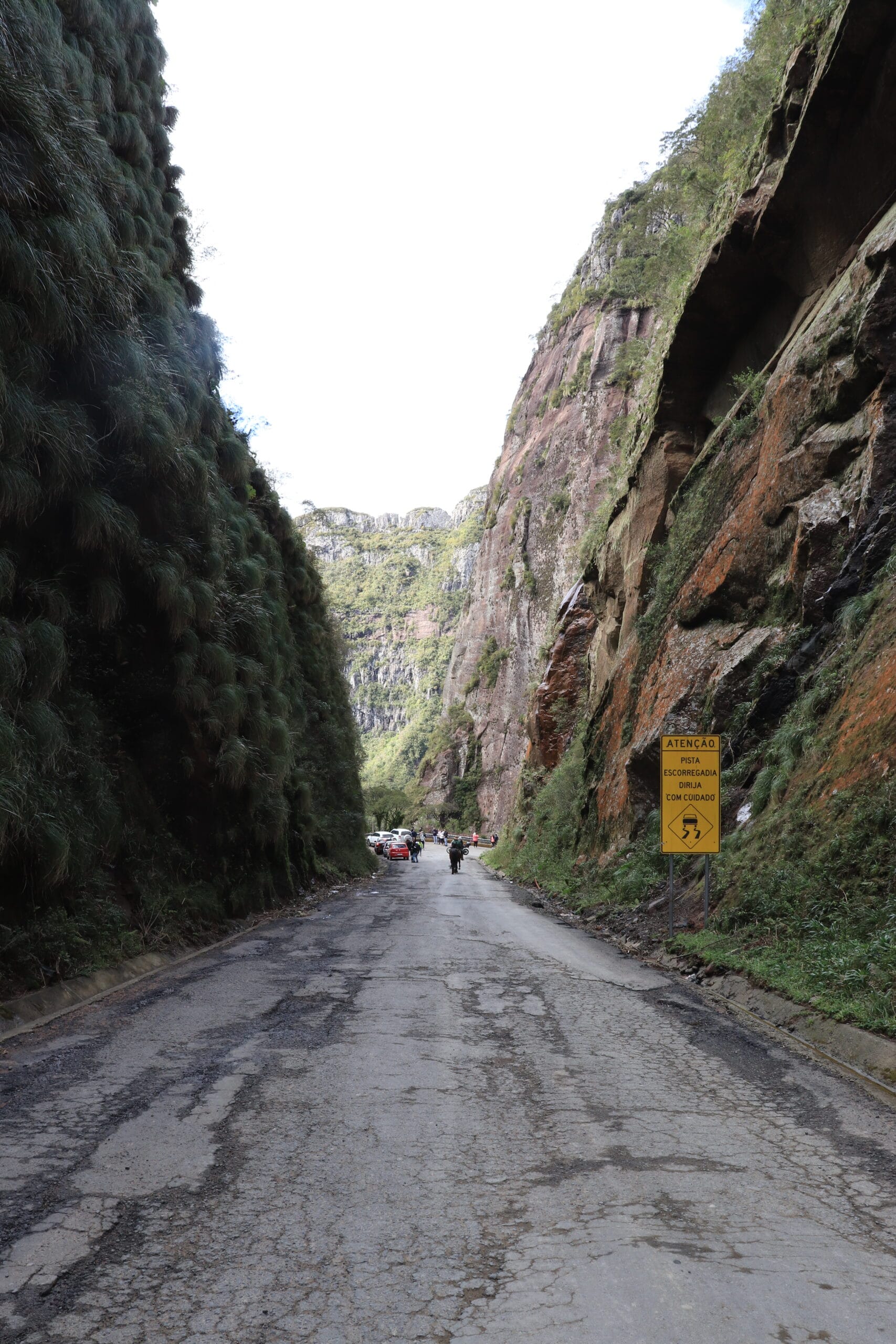 IMG_3941 - Serenus Forest Glass House