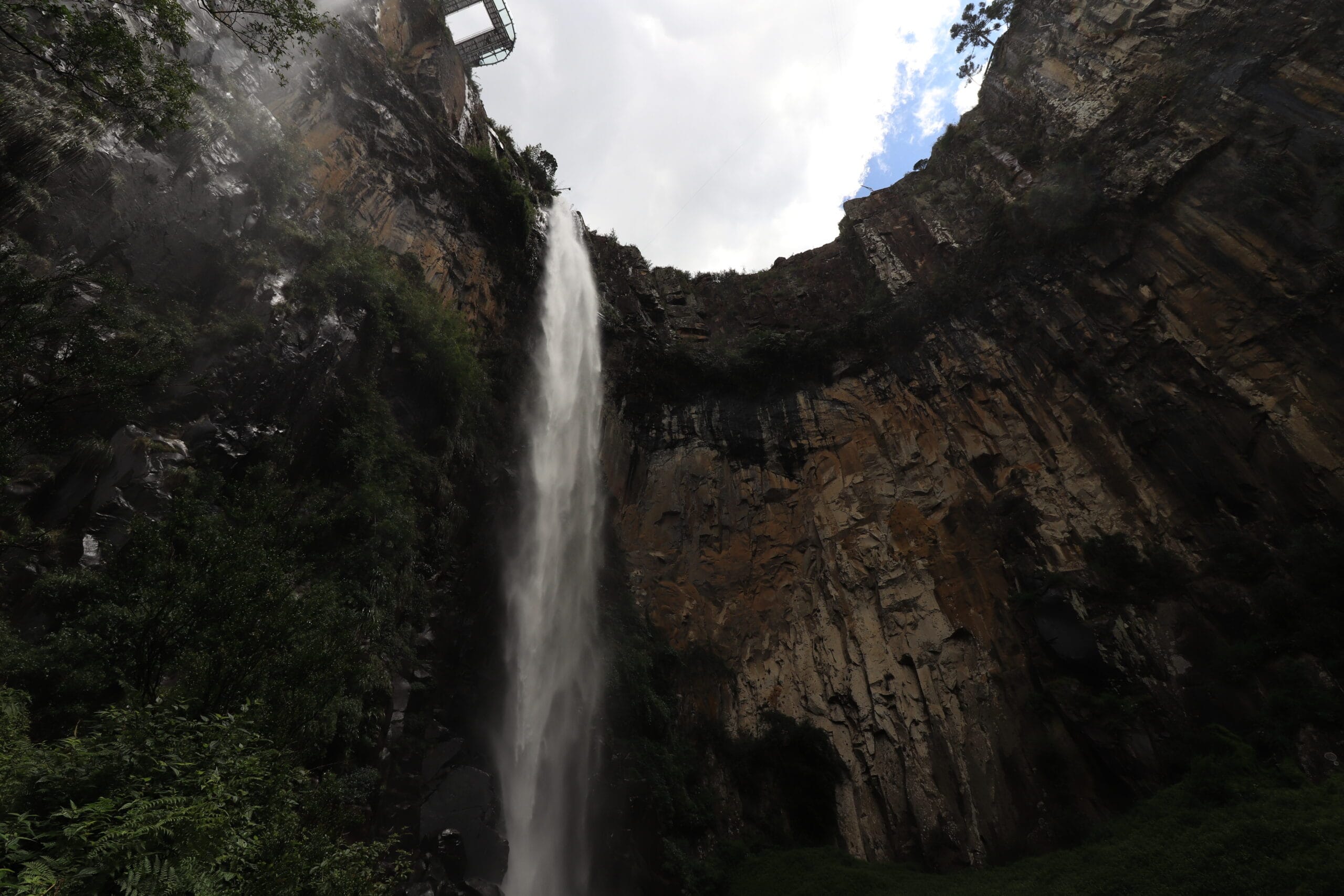 IMG_4445 - Serenus Forest Glass House