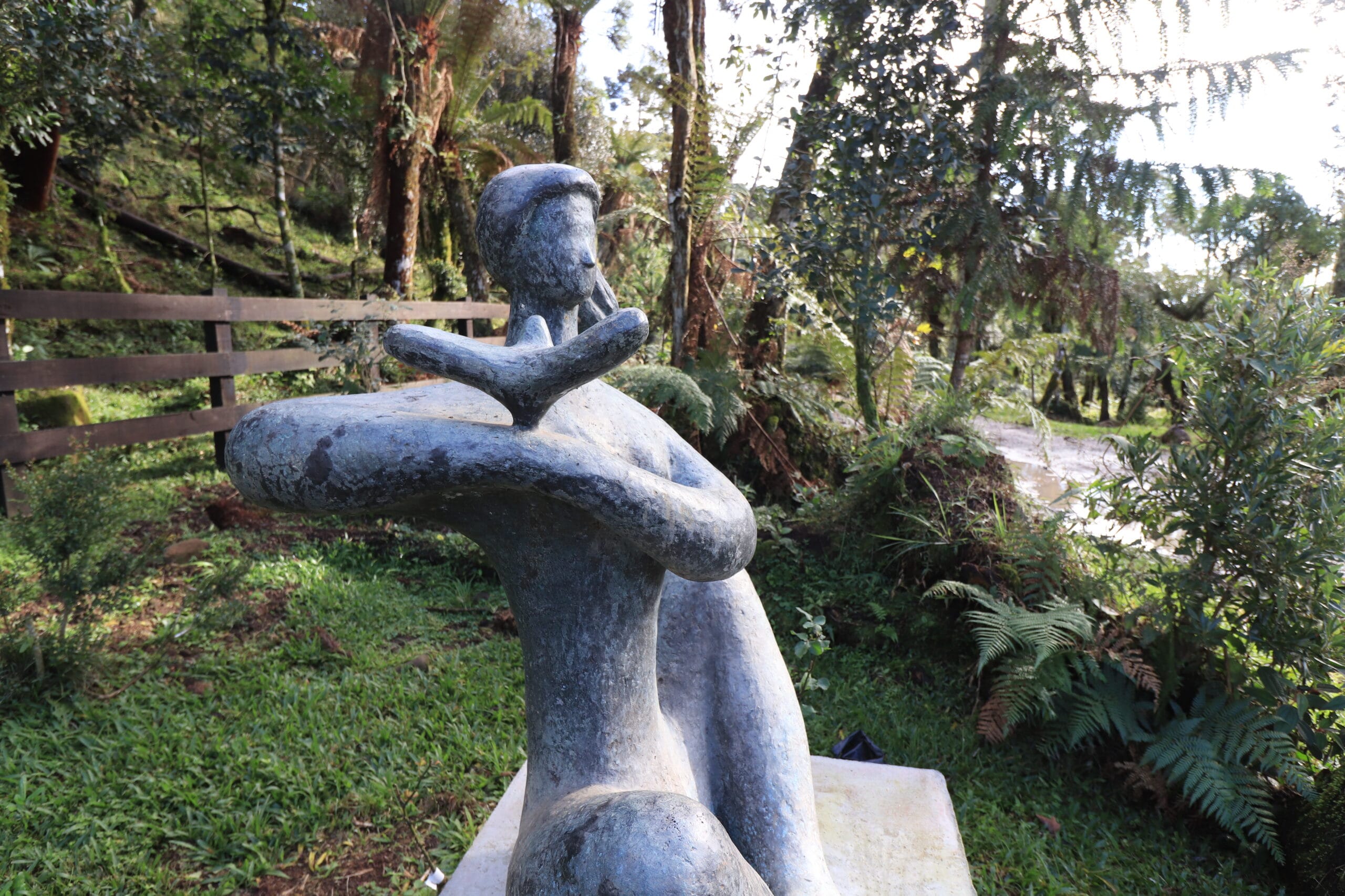 IMG_4875 - Serenus Forest Glass House