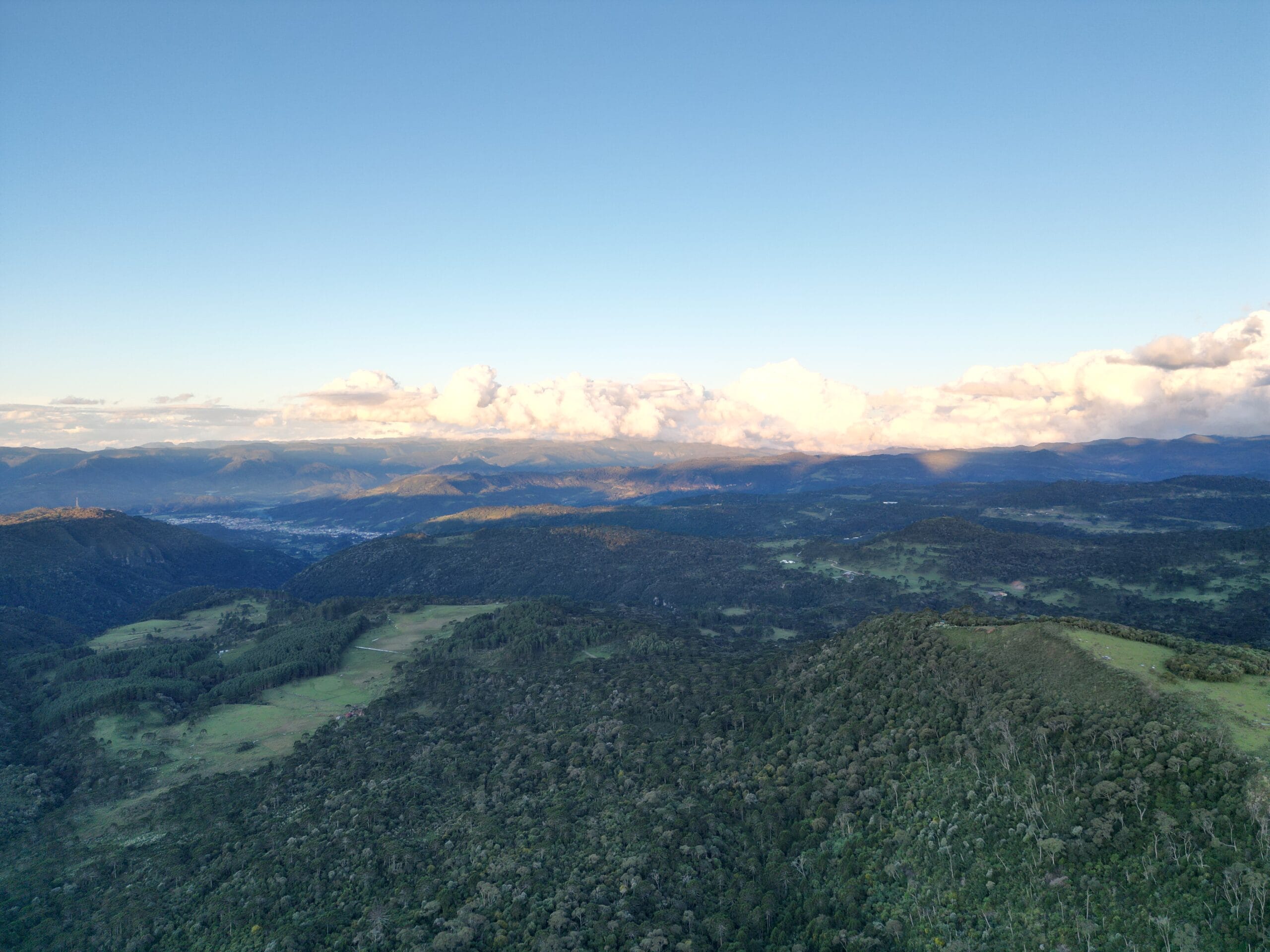 default - Serenus Forest Glass House