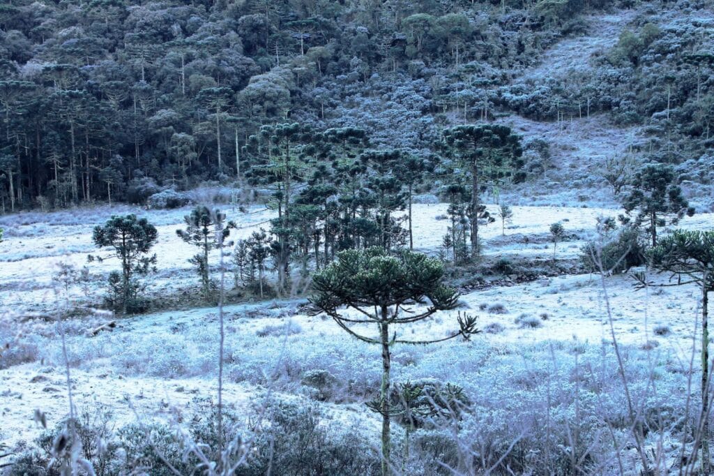 Paisagem de Urubici coberta de neve, mostrando a beleza invernal da cidade na Serra Catarinense.