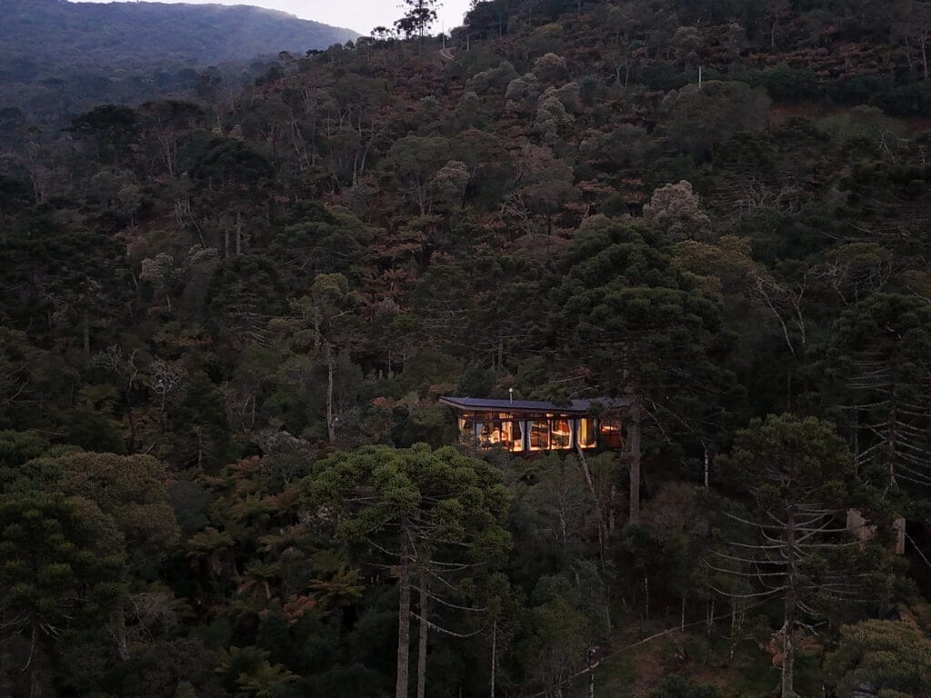 default - Serenus Forest Glass House