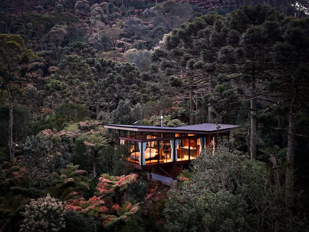 default - Serenus Forest Glass House