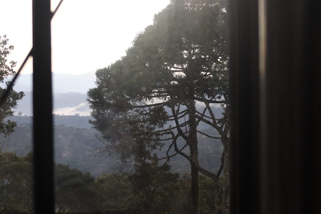 Cabana Cristal Urubici Vista Montanha - Serenus Forest Glass House