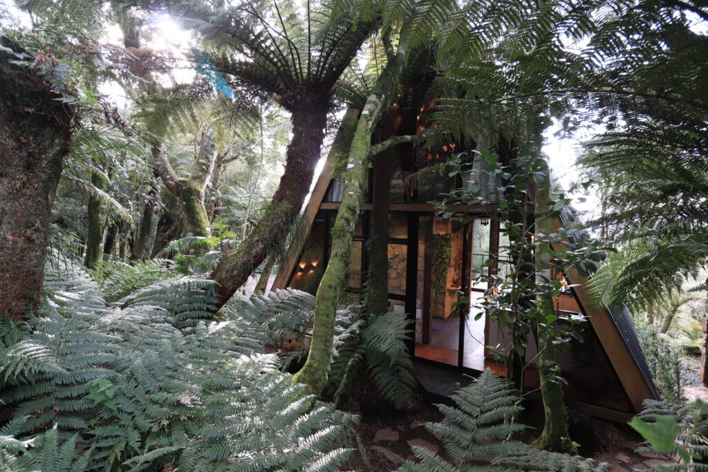 Cabana dos Pumas Serenus Urubici Pousada Vista Fundos - Serenus Forest Glass House